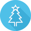 nature,trees,christmas,woods,forest,christmas tree